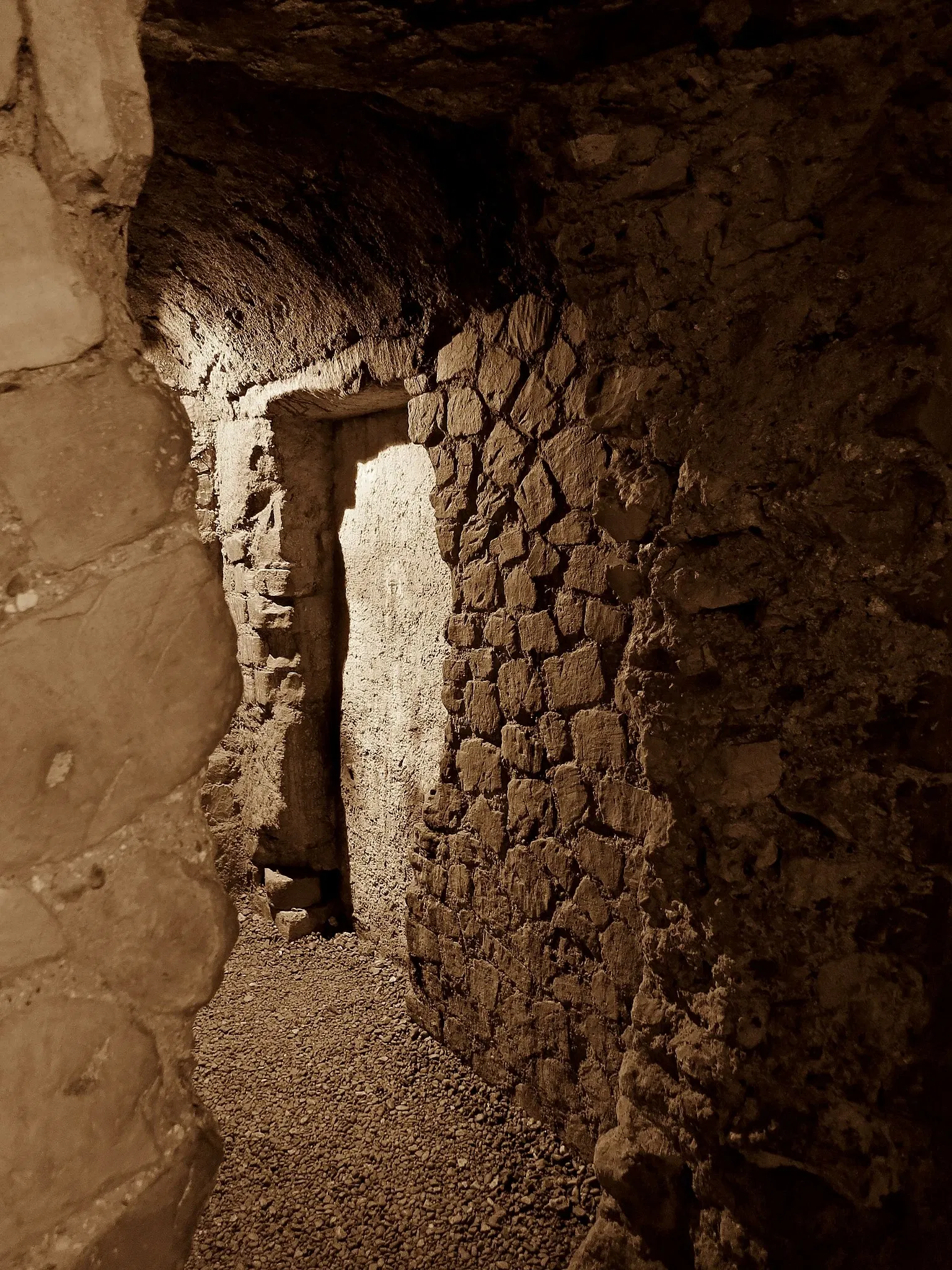 Roman Granary Museum