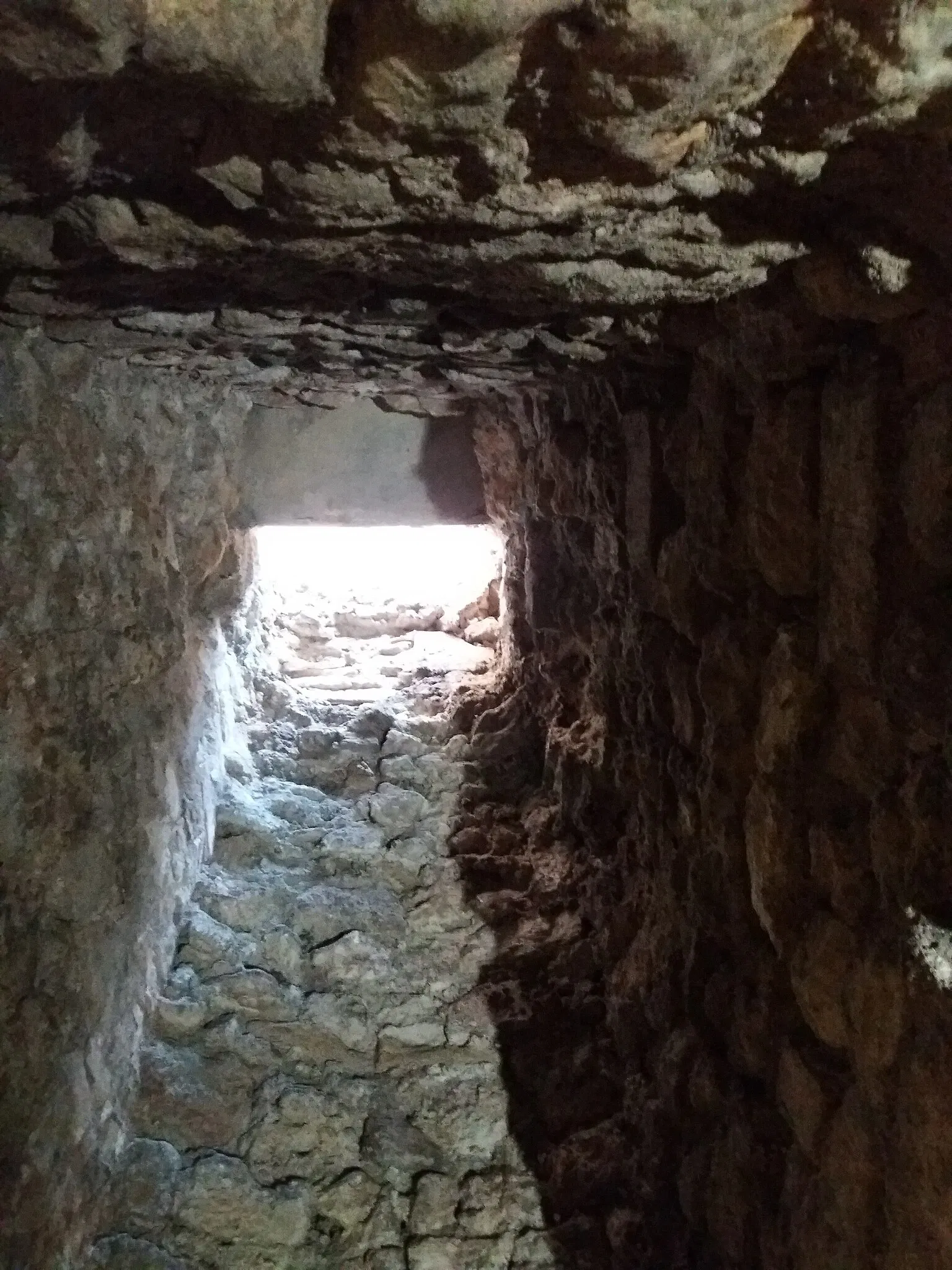 Roman Granary Museum