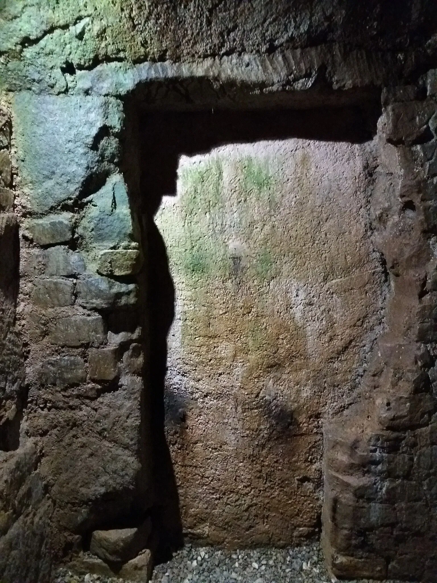 Roman Granary Museum