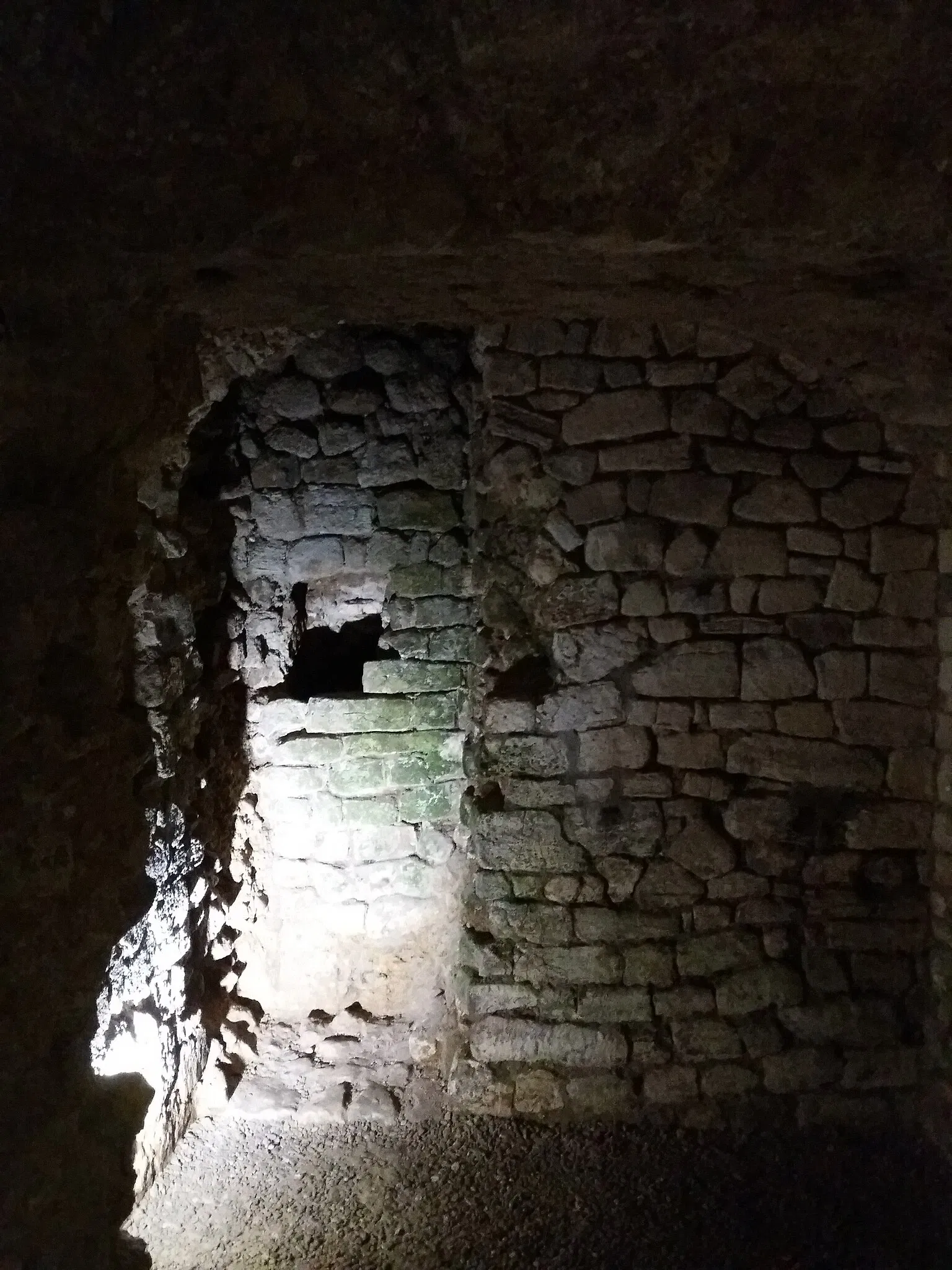 Roman Granary Museum