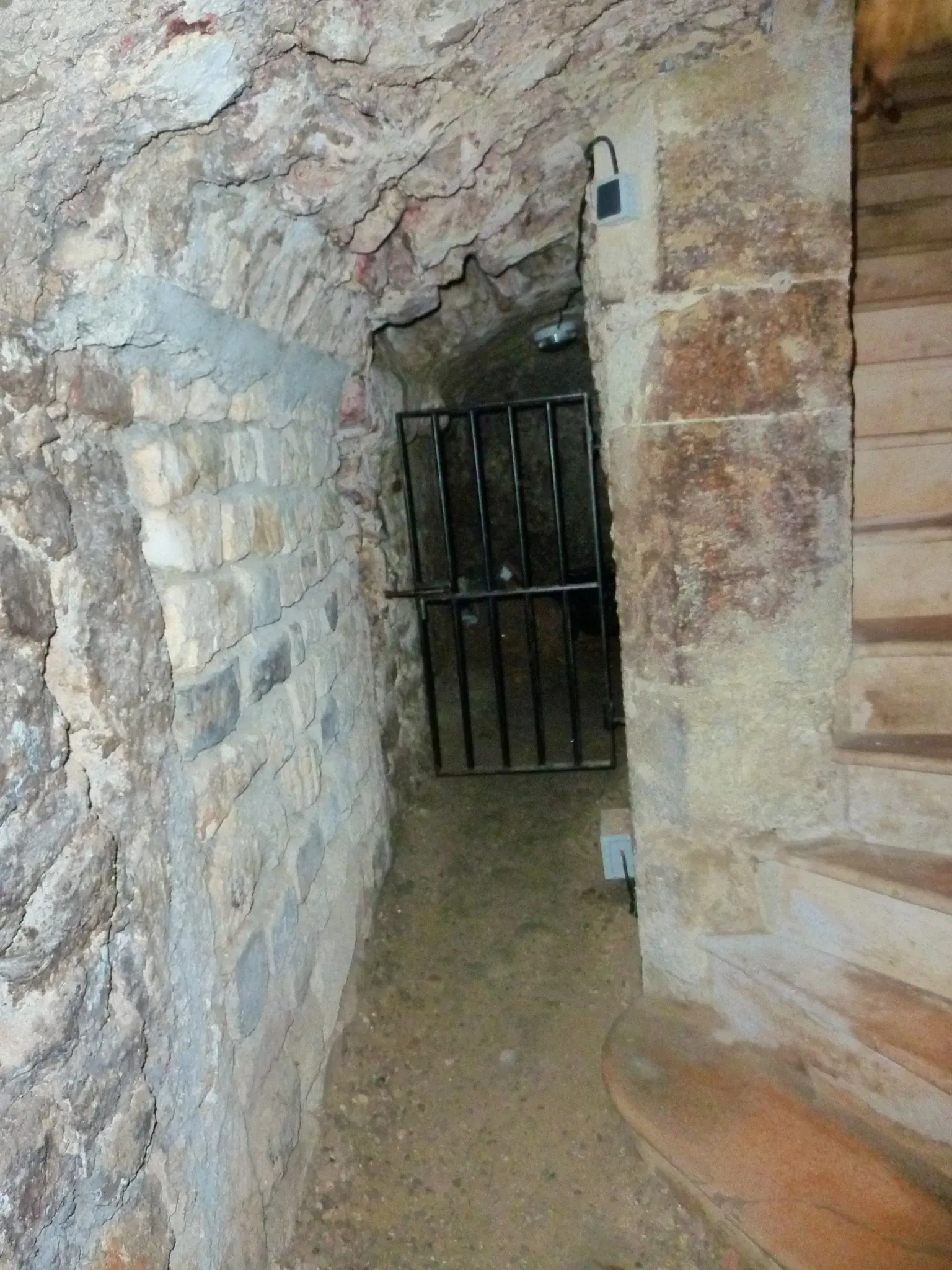 Roman Granary Museum