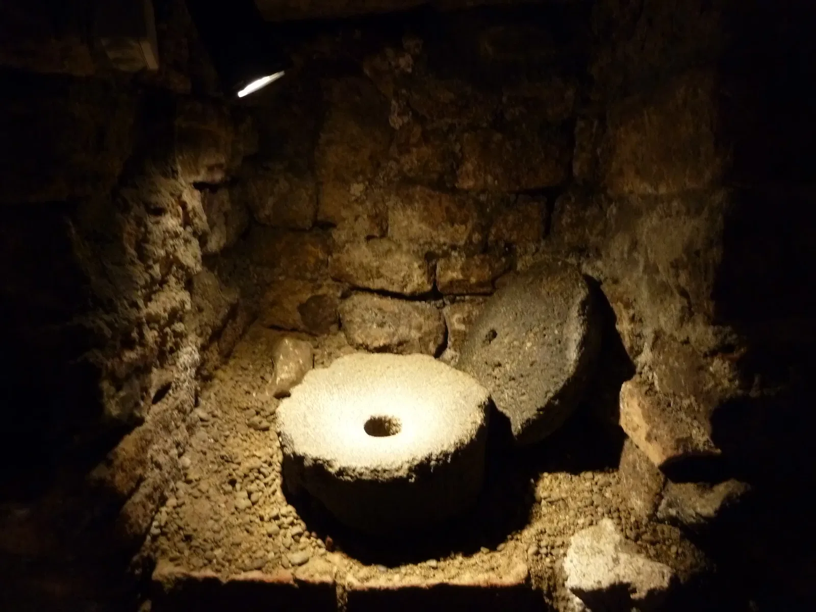 Roman Granary Museum