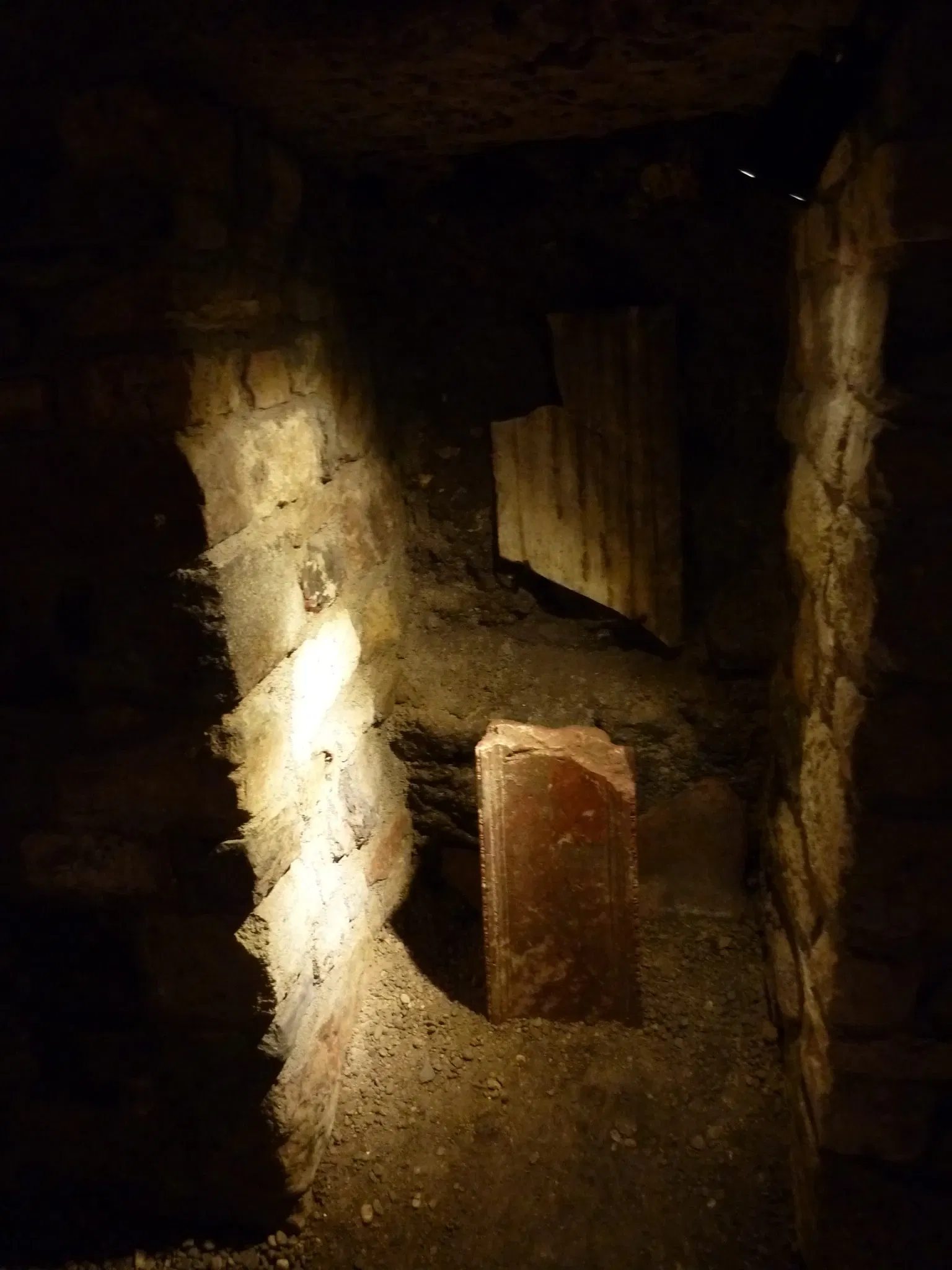 Roman Granary Museum