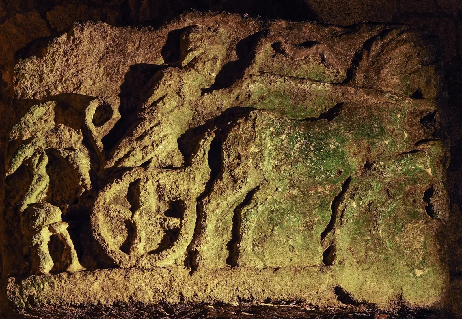 Roman Granary Museum