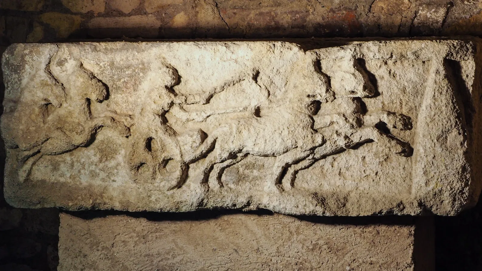 Roman Granary Museum