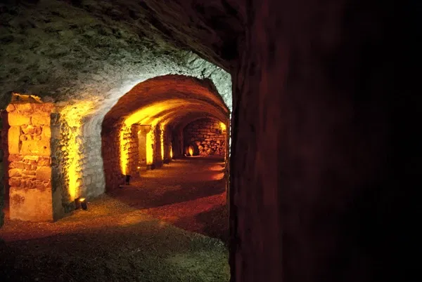 Roman Granary Museum