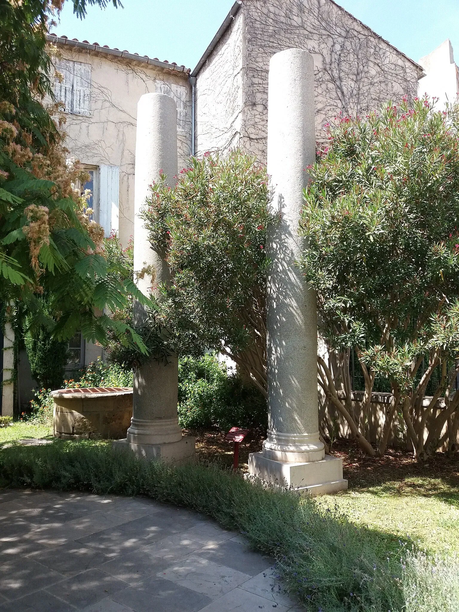 Roman Granary Museum