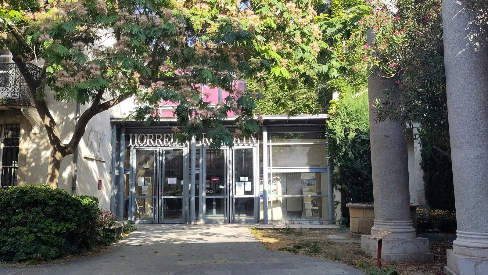 Roman Granary Museum