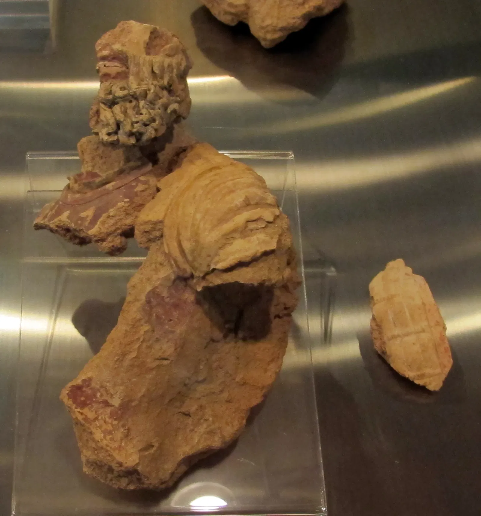 Musée archéologique national d'Orvieto