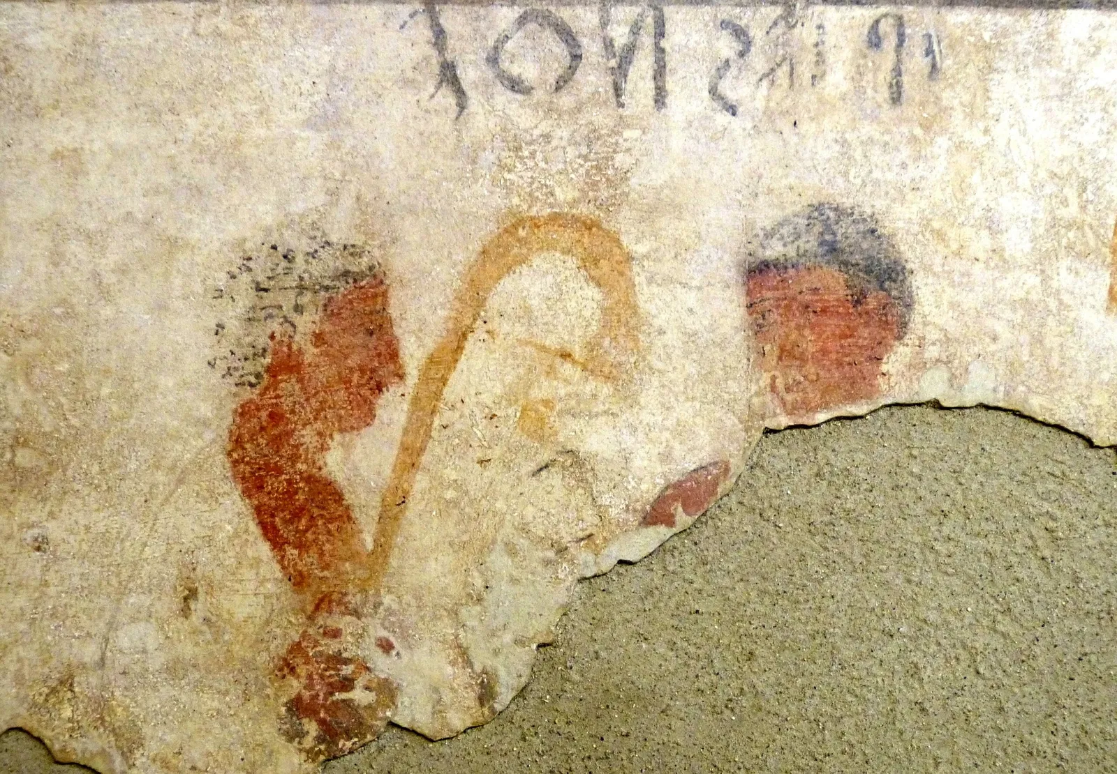 Museo Archeologico Nazionale di Orvieto
