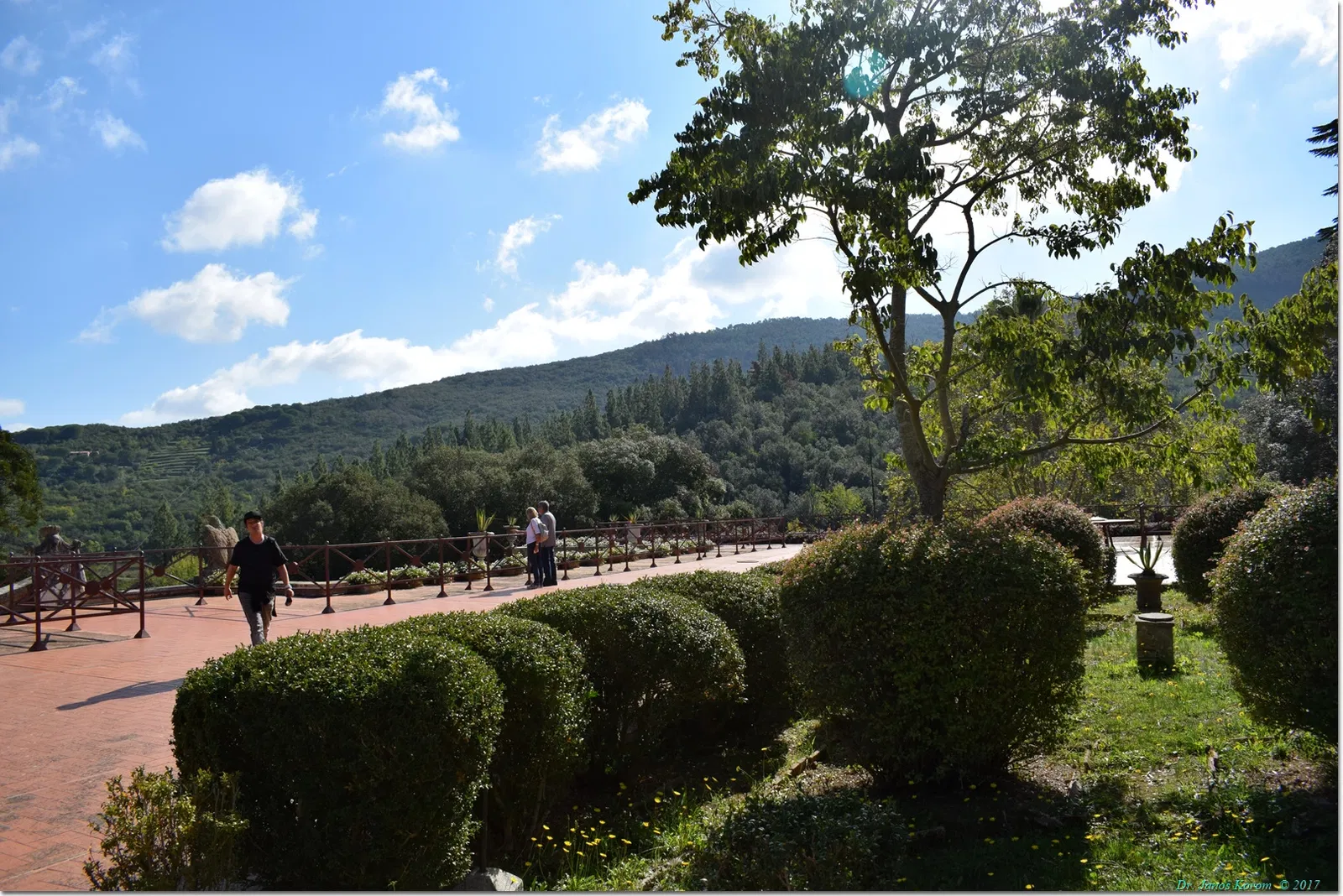 Villa di San Martino