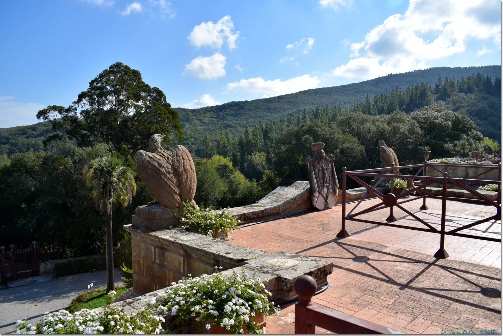 Villa San Martino (Elba)