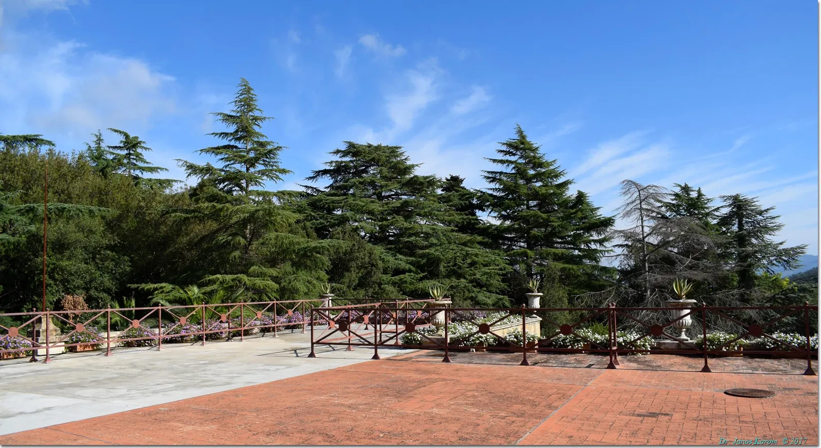 Villa di San Martino