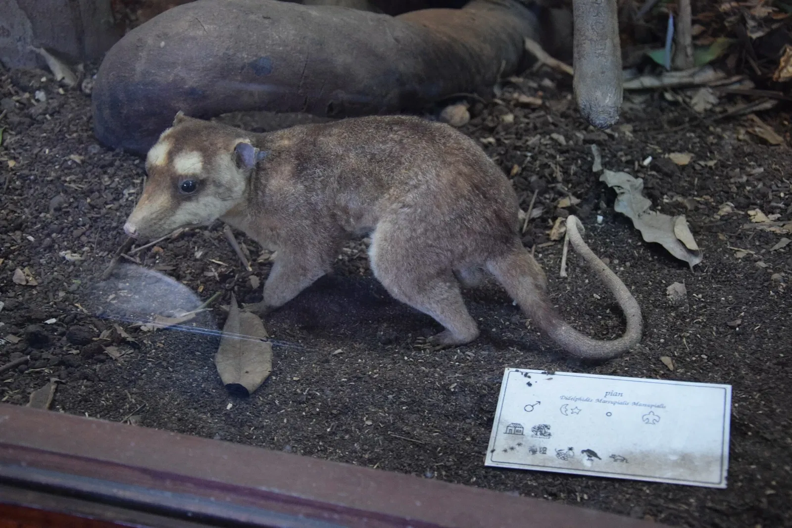 Museo departamental Alexandre-Franconie