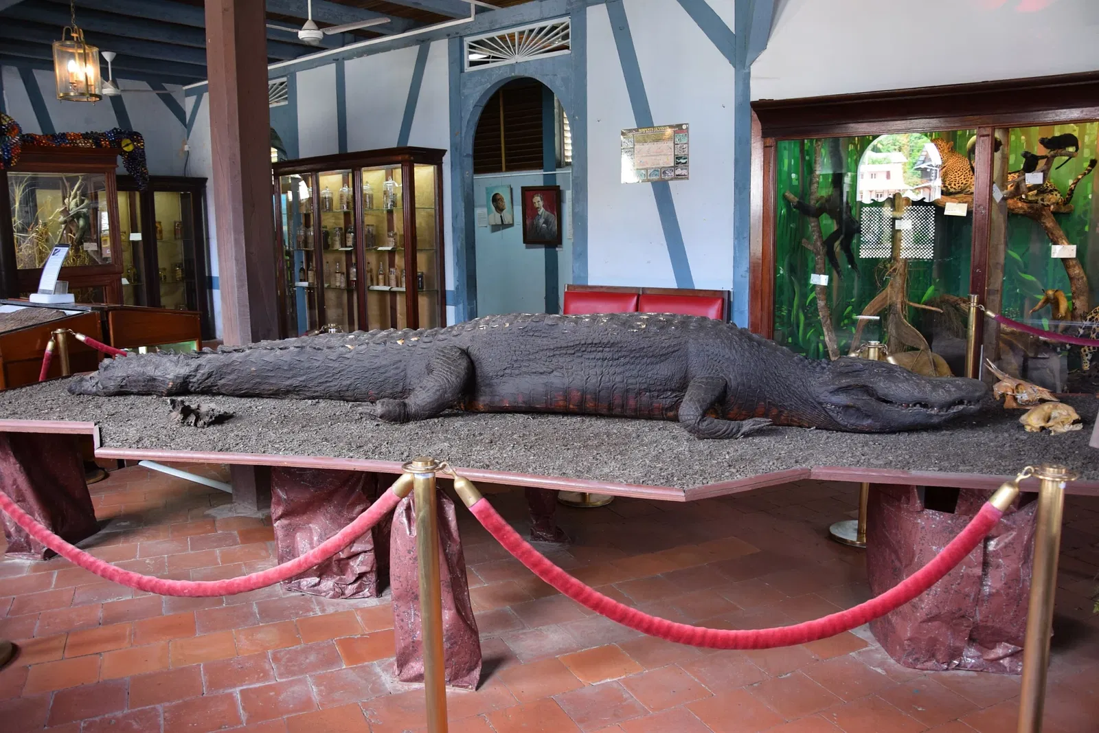 Musée Départemental Alexandre-Franconie