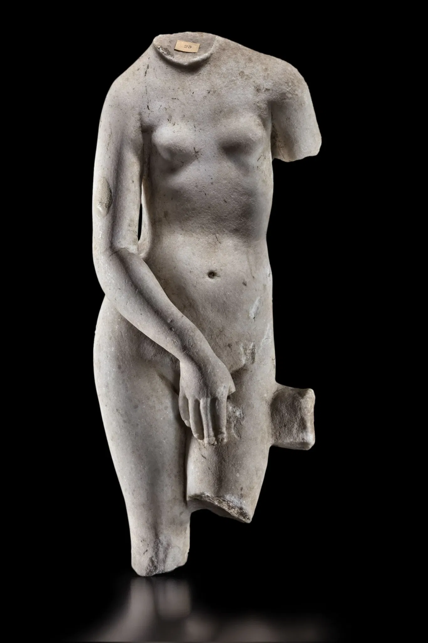 Musei Civici di Reggio Emilia