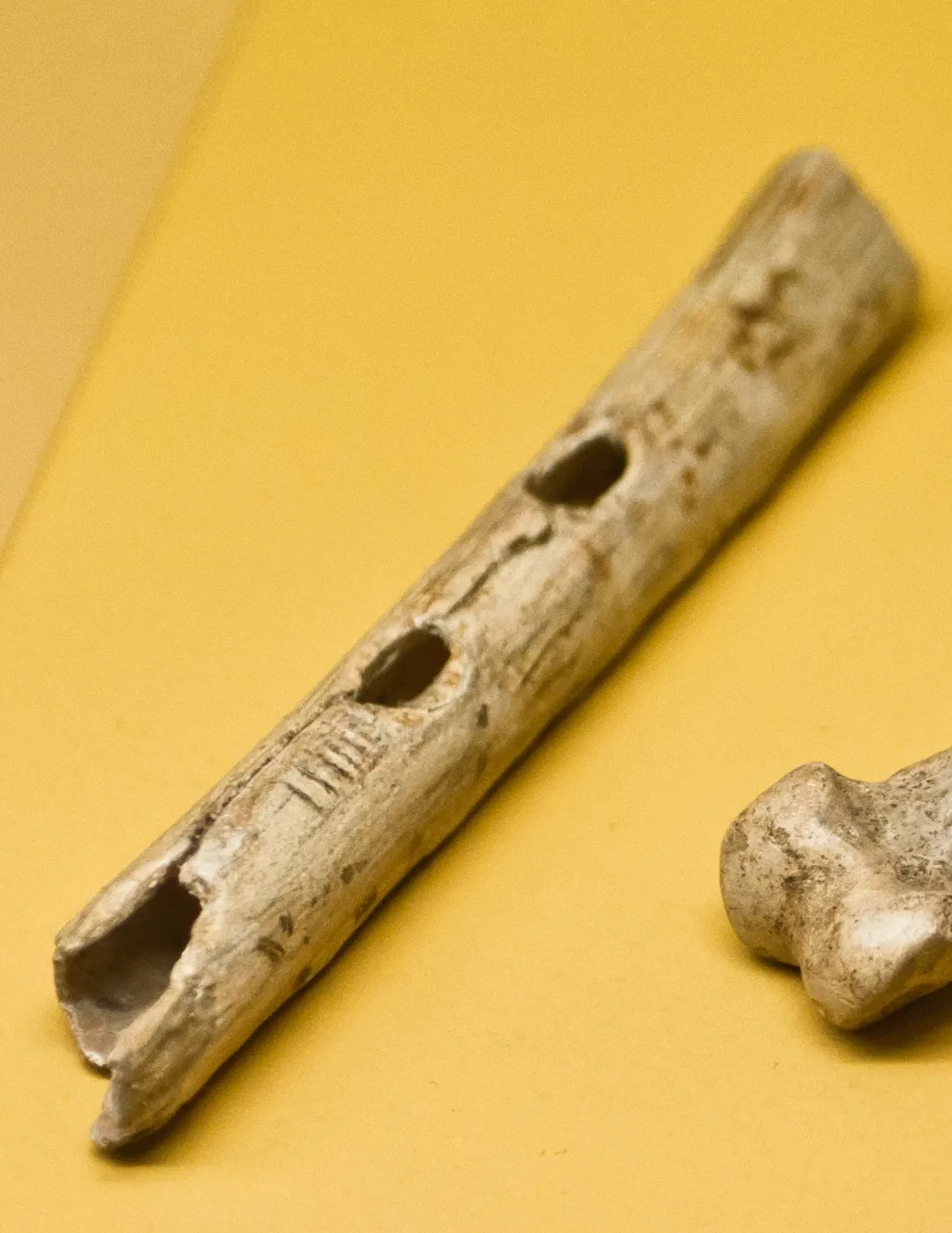 Château de Saint-Germain-en-Laye