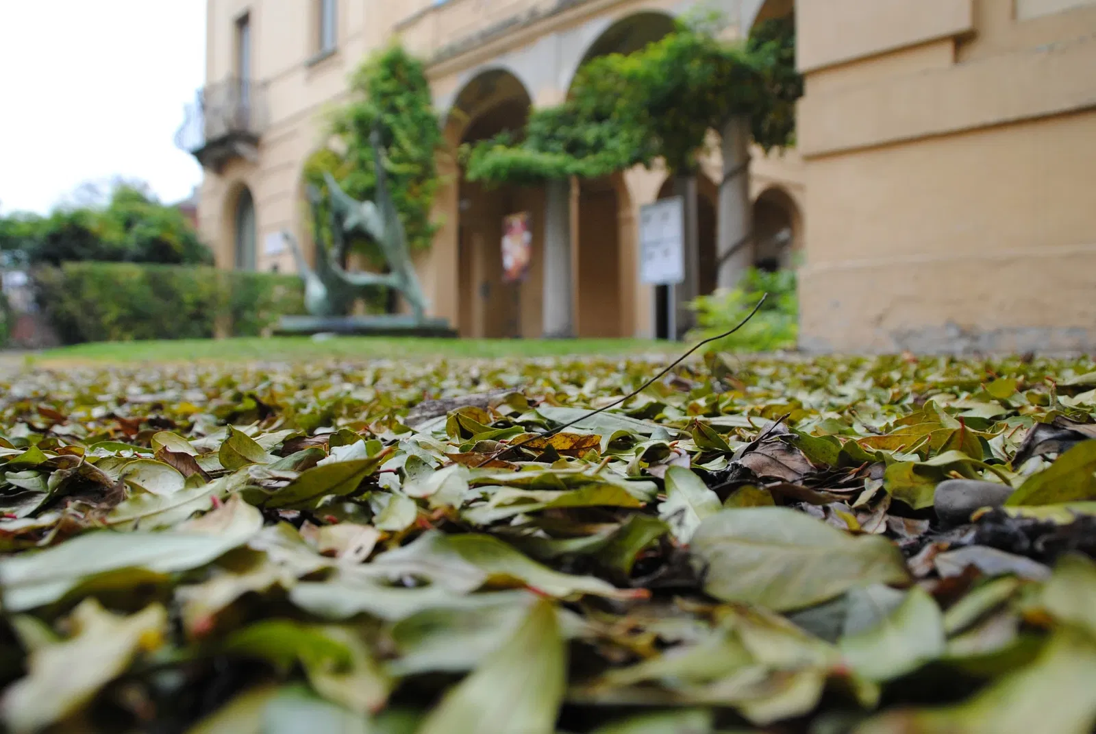 Galleria d'Arte Moderna Ricci Oddi