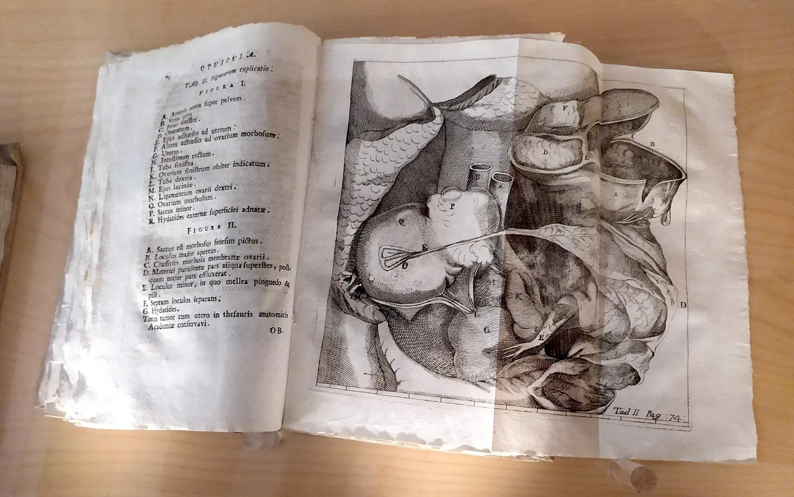 Palazzo Sturm - Musei Biblioteca Archivio di Bassano del Grappa