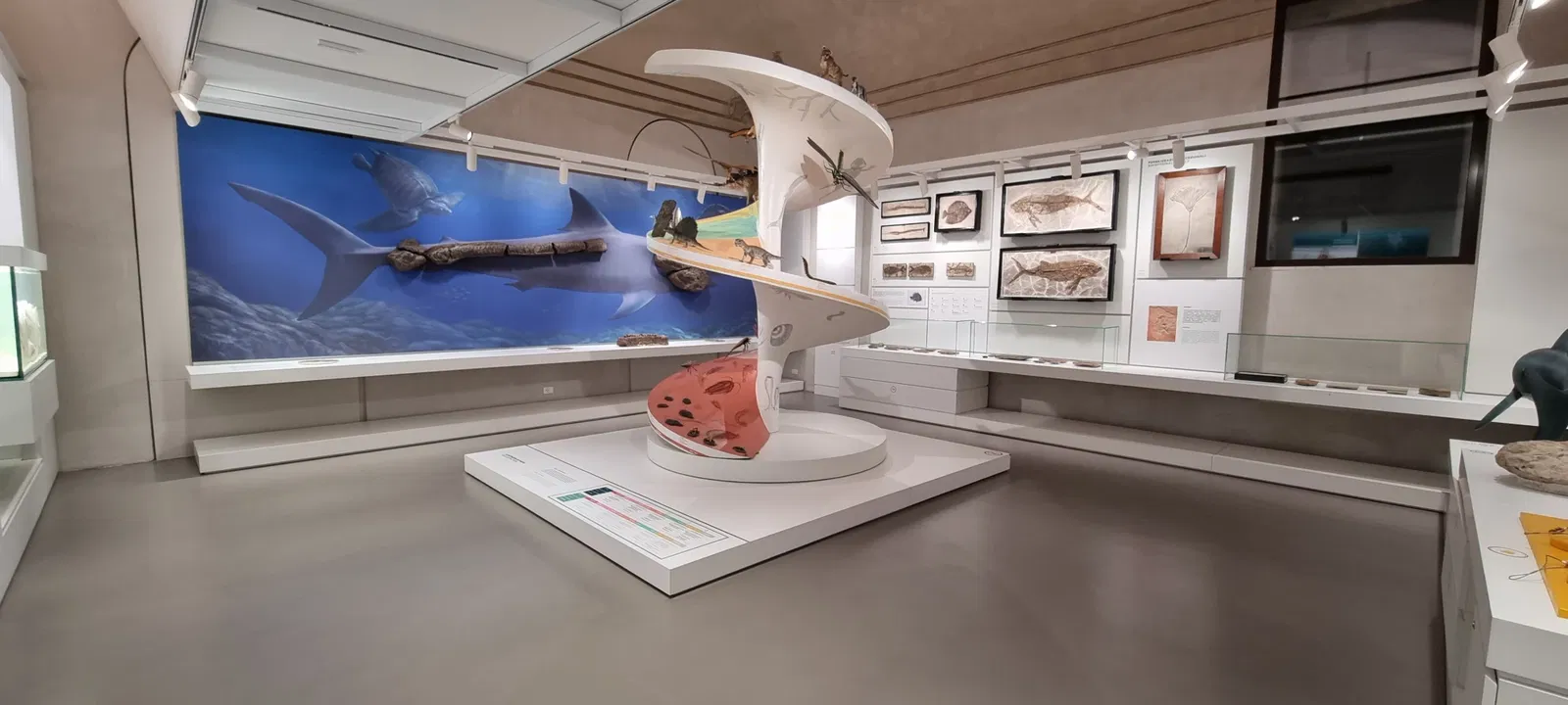 Museo de Historia Natural de Pavía