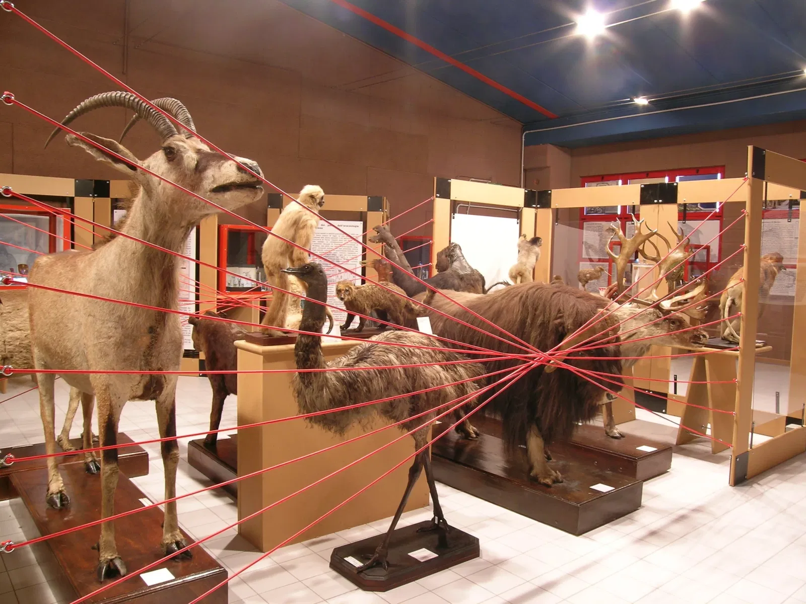 Museo de Historia Natural de Pavía