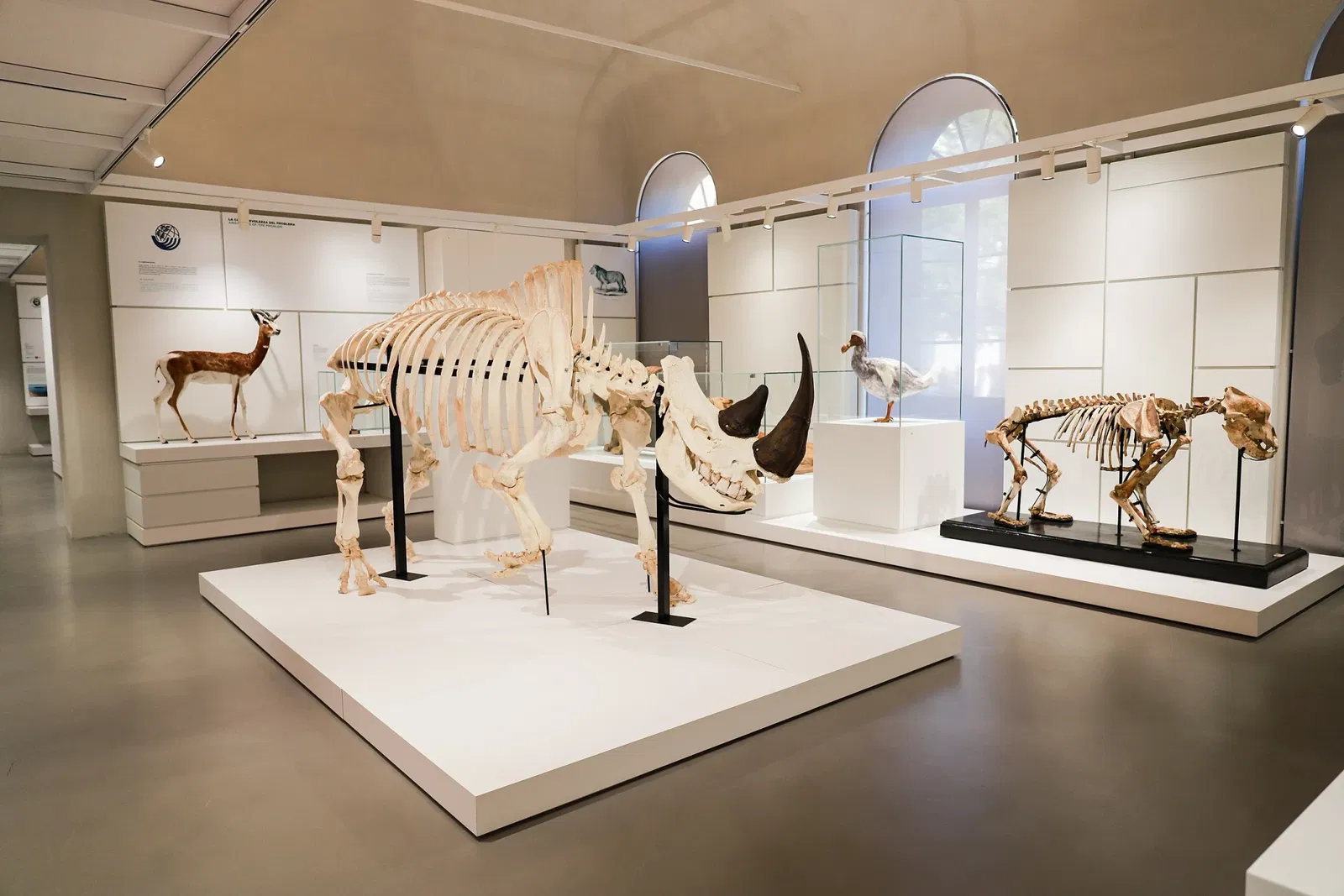 Kosmos - Museo di Storia Naturale dell'Università di Pavia