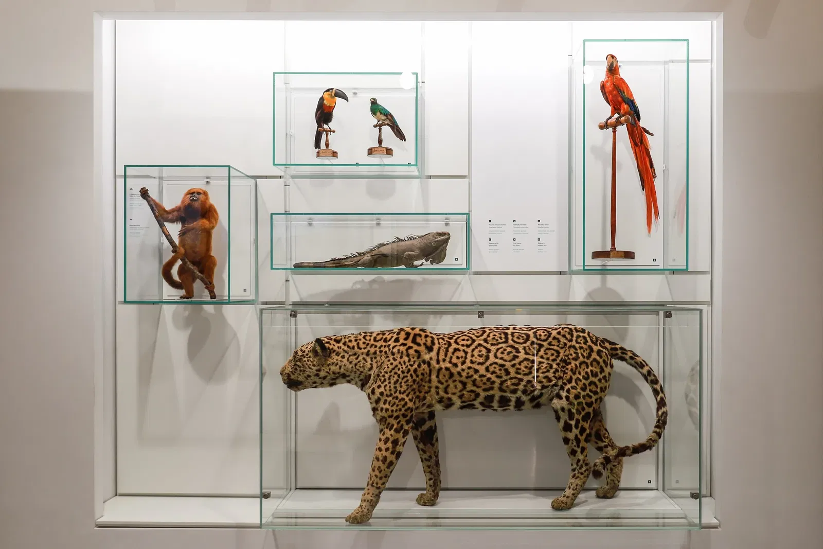 Musée d'histoire naturelle de Pavie