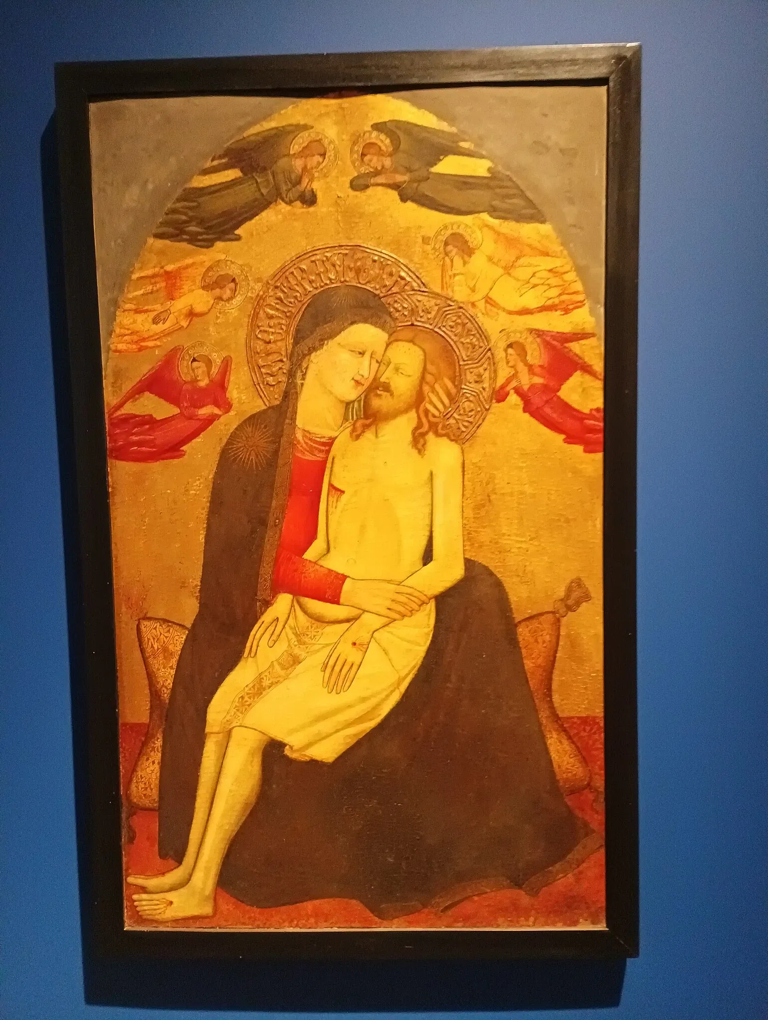 Pinacoteca Malaspina - Musei Civici di Pavia