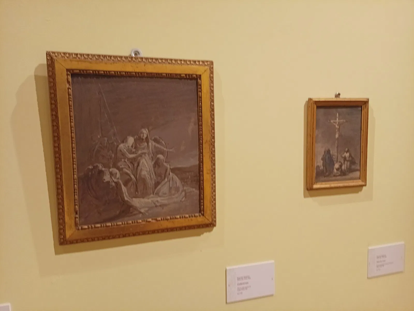 Pinacoteca Malaspina - Musei Civici di Pavia