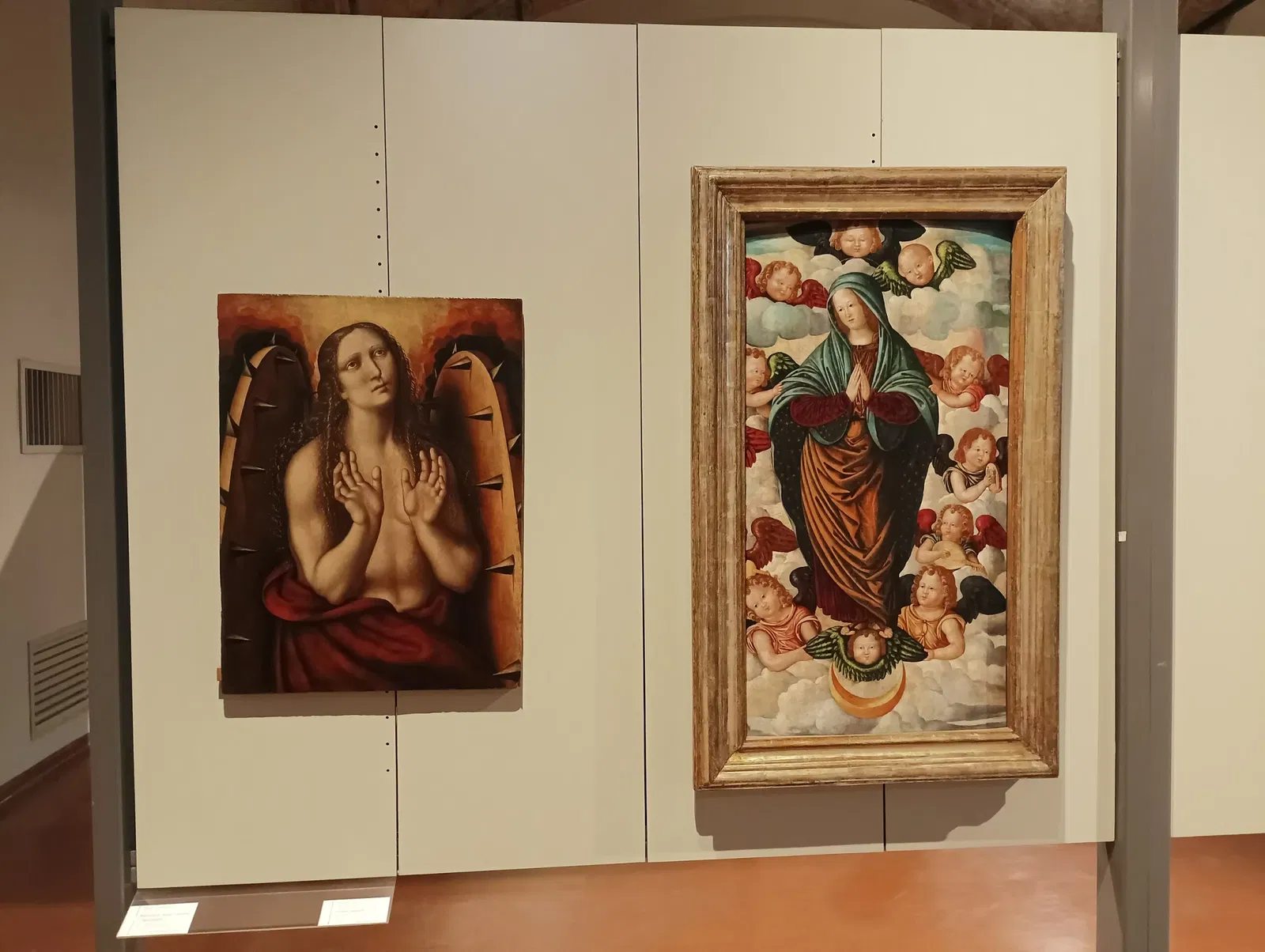 Pinacoteca Malaspina - Musei Civici di Pavia