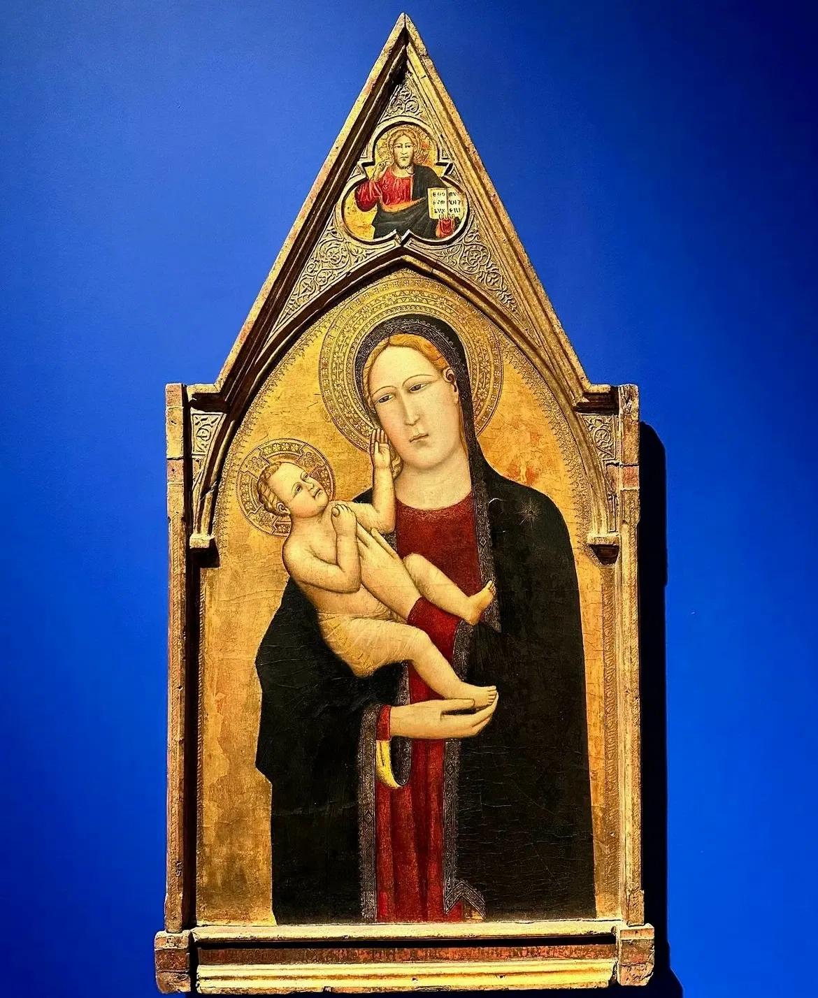 Pinacoteca Malaspina - Musei Civici di Pavia