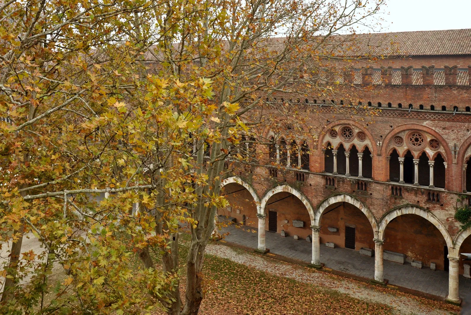 Castello Visconteo (Pavia)