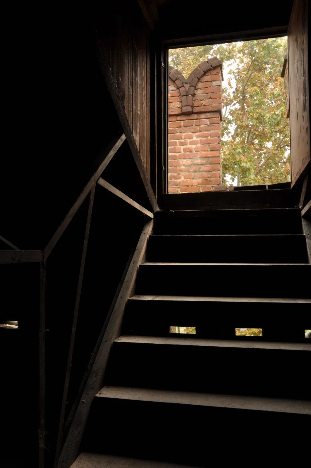 Castello Visconteo (Pavia)