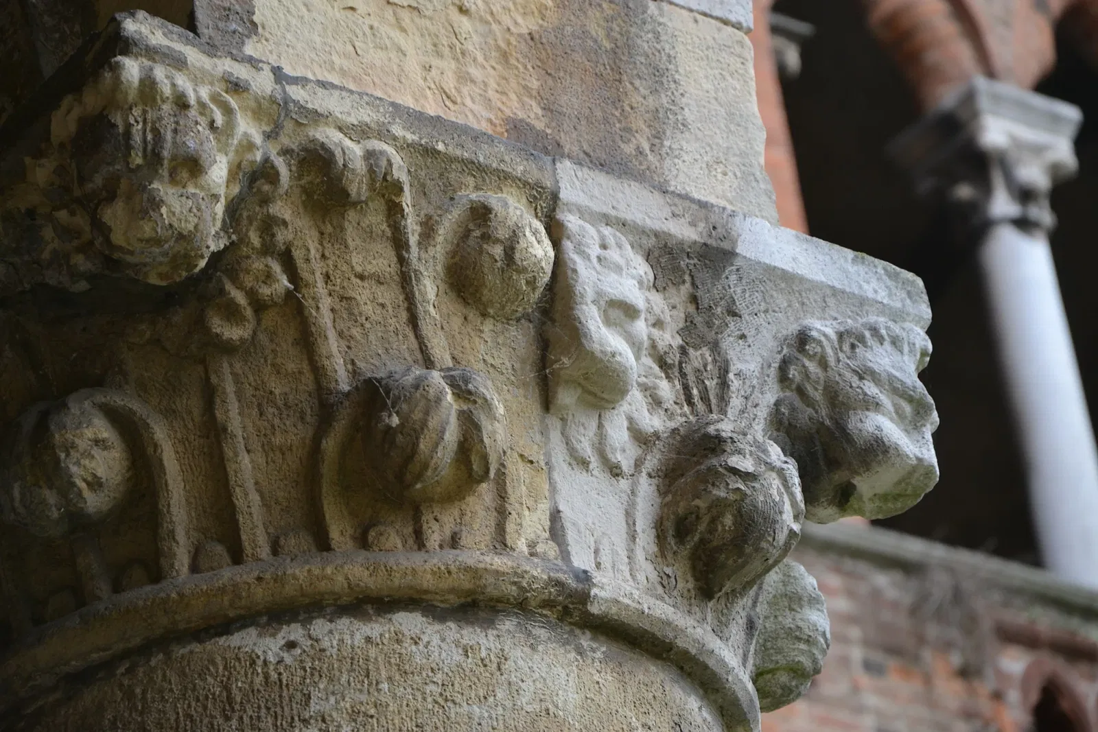 Castello Visconteo (Pavia)