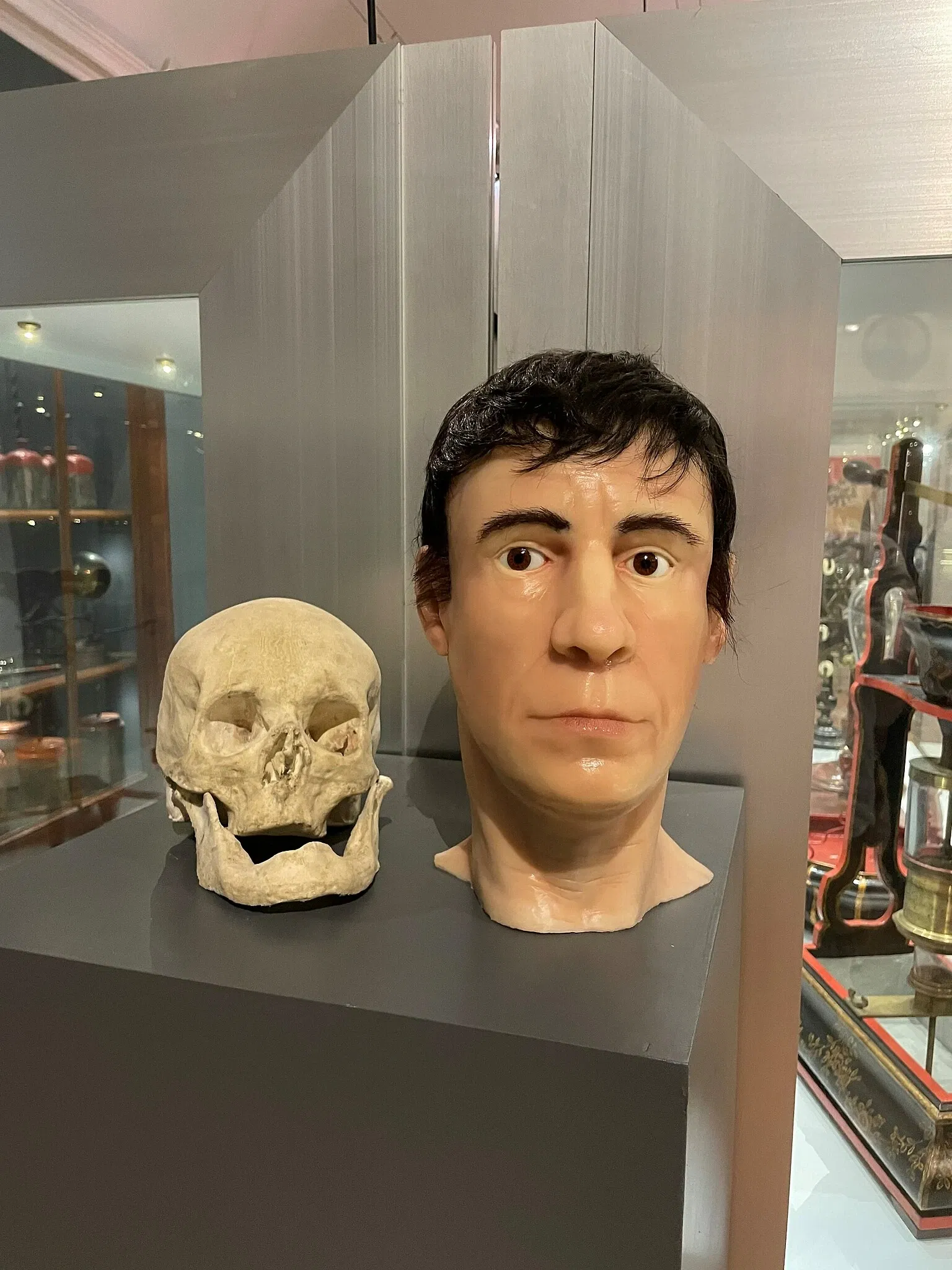 Museo per la Storia dell'Università di Pavia