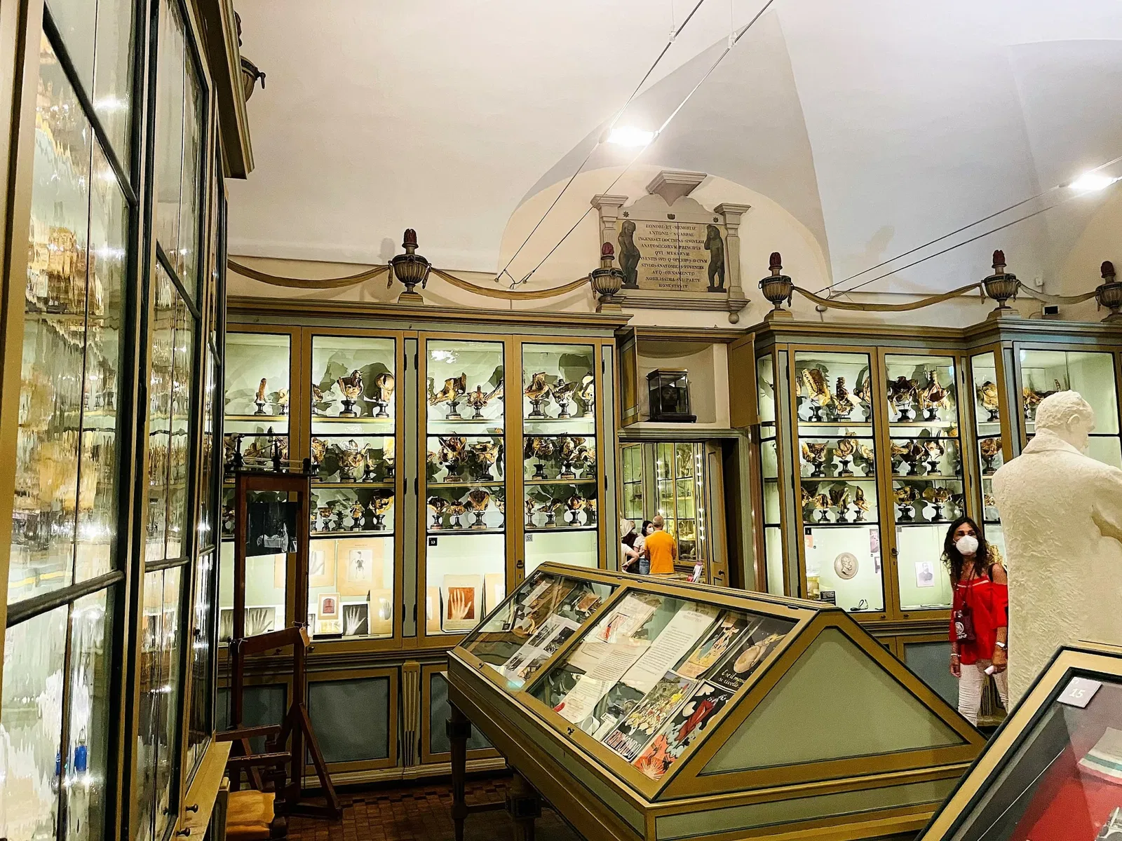 University History Museum of the University of Pavia