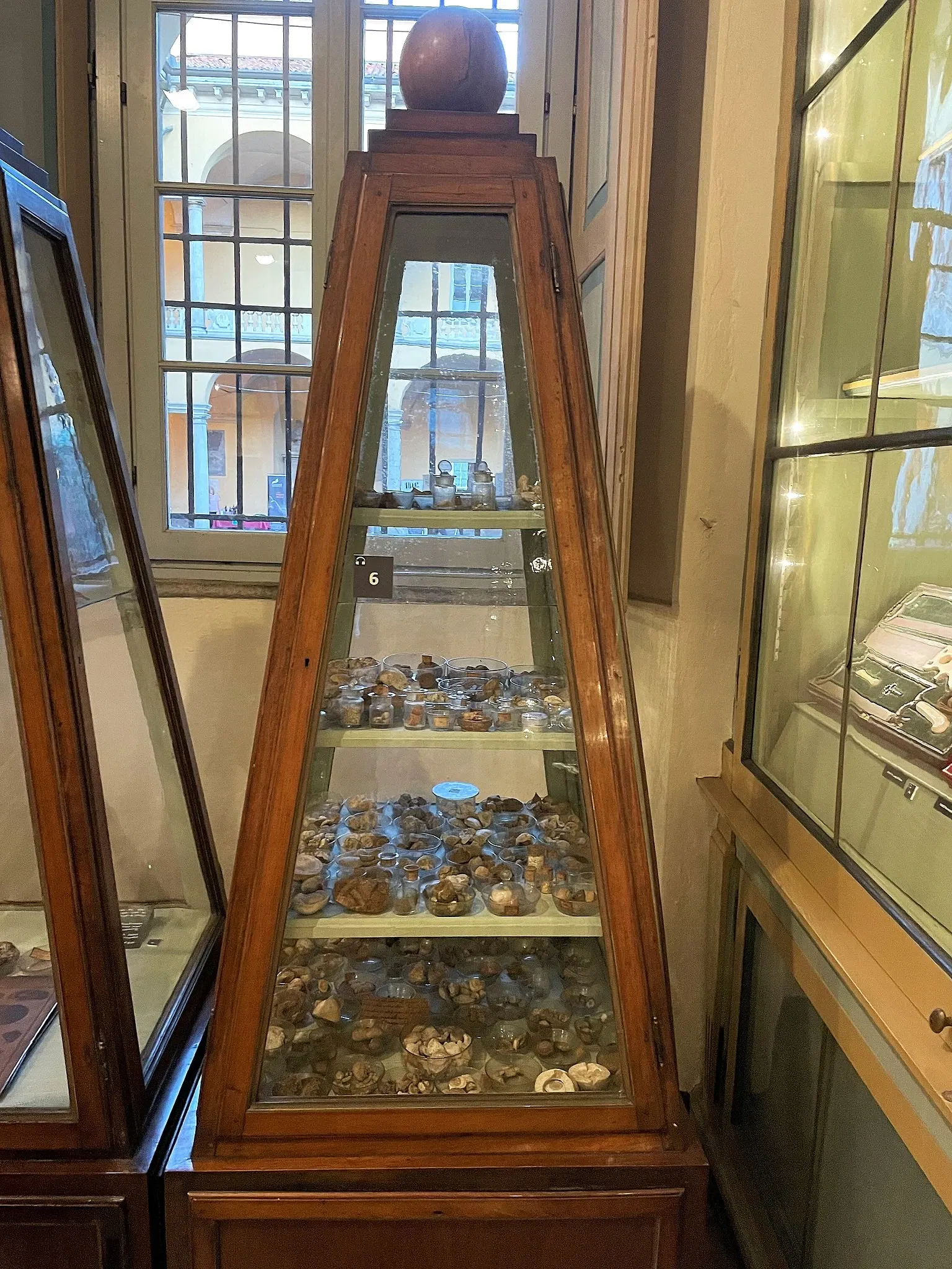 Museo per la Storia dell'Università di Pavia