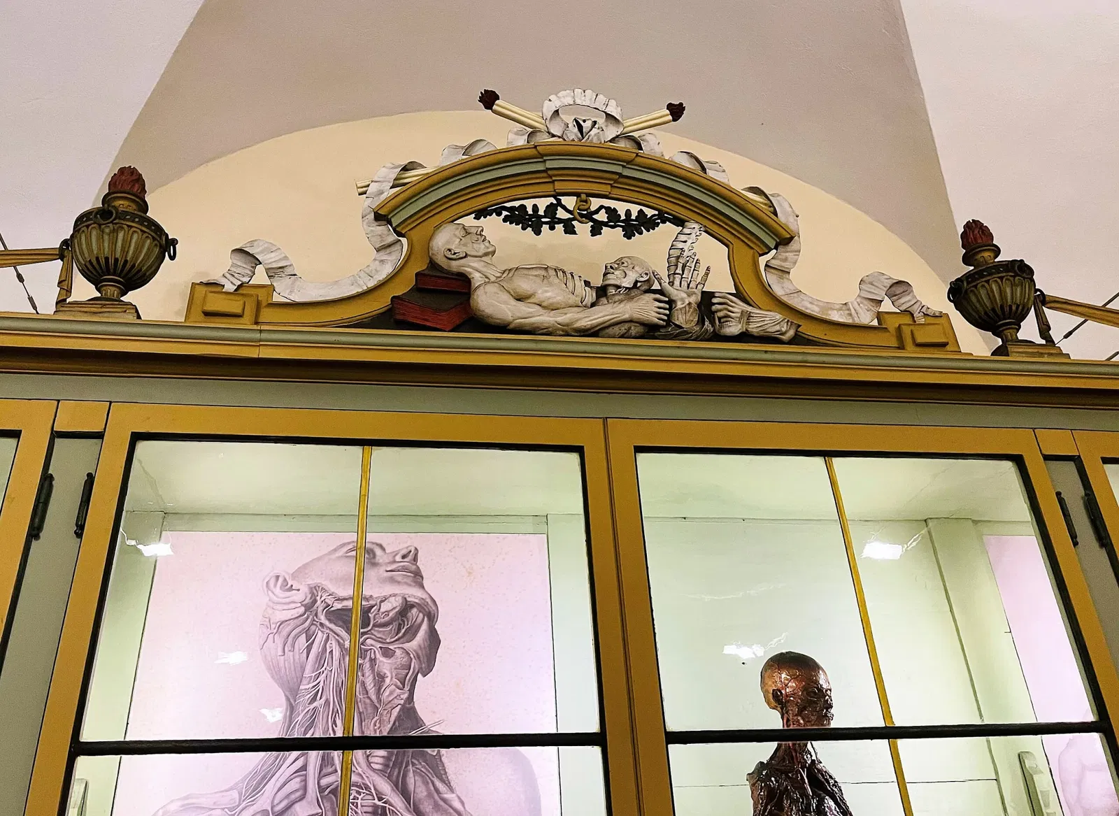 Musée pour l'histoire de l'université de Pavie