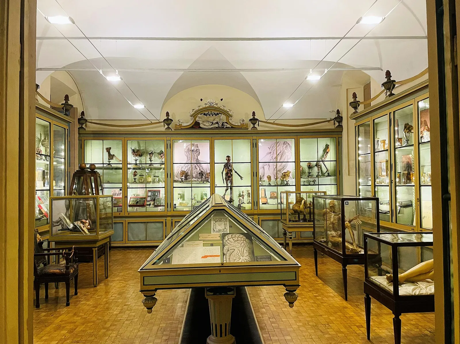 Museo per la Storia dell'Università di Pavia