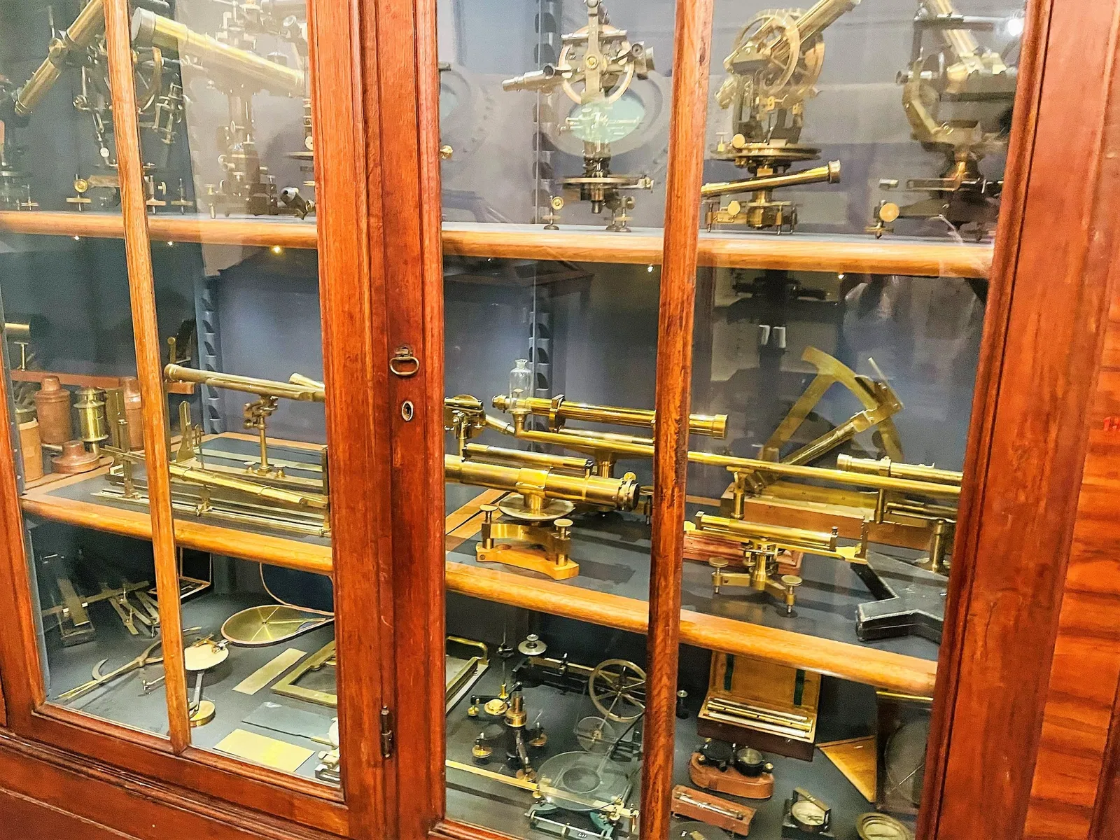 University History Museum of the University of Pavia