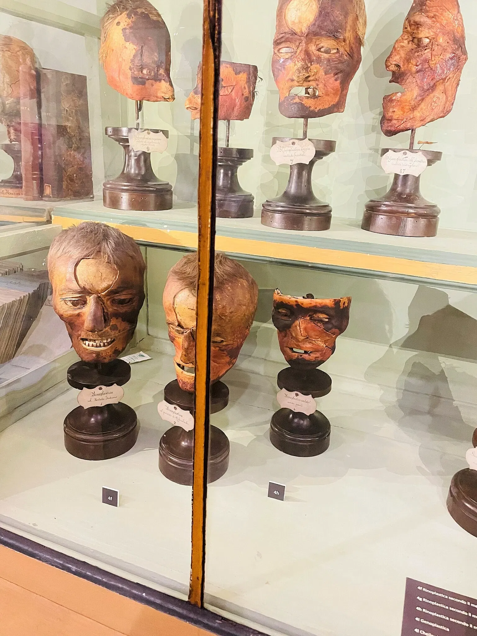 University History Museum of the University of Pavia