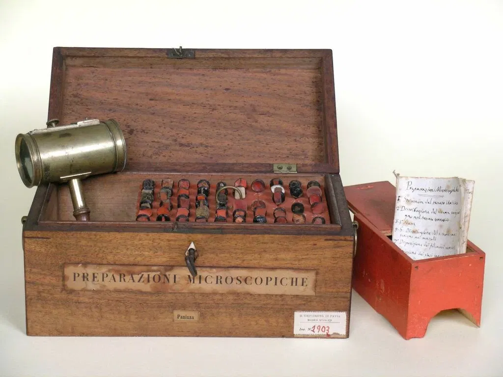 Museo per la Storia dell'Università di Pavia