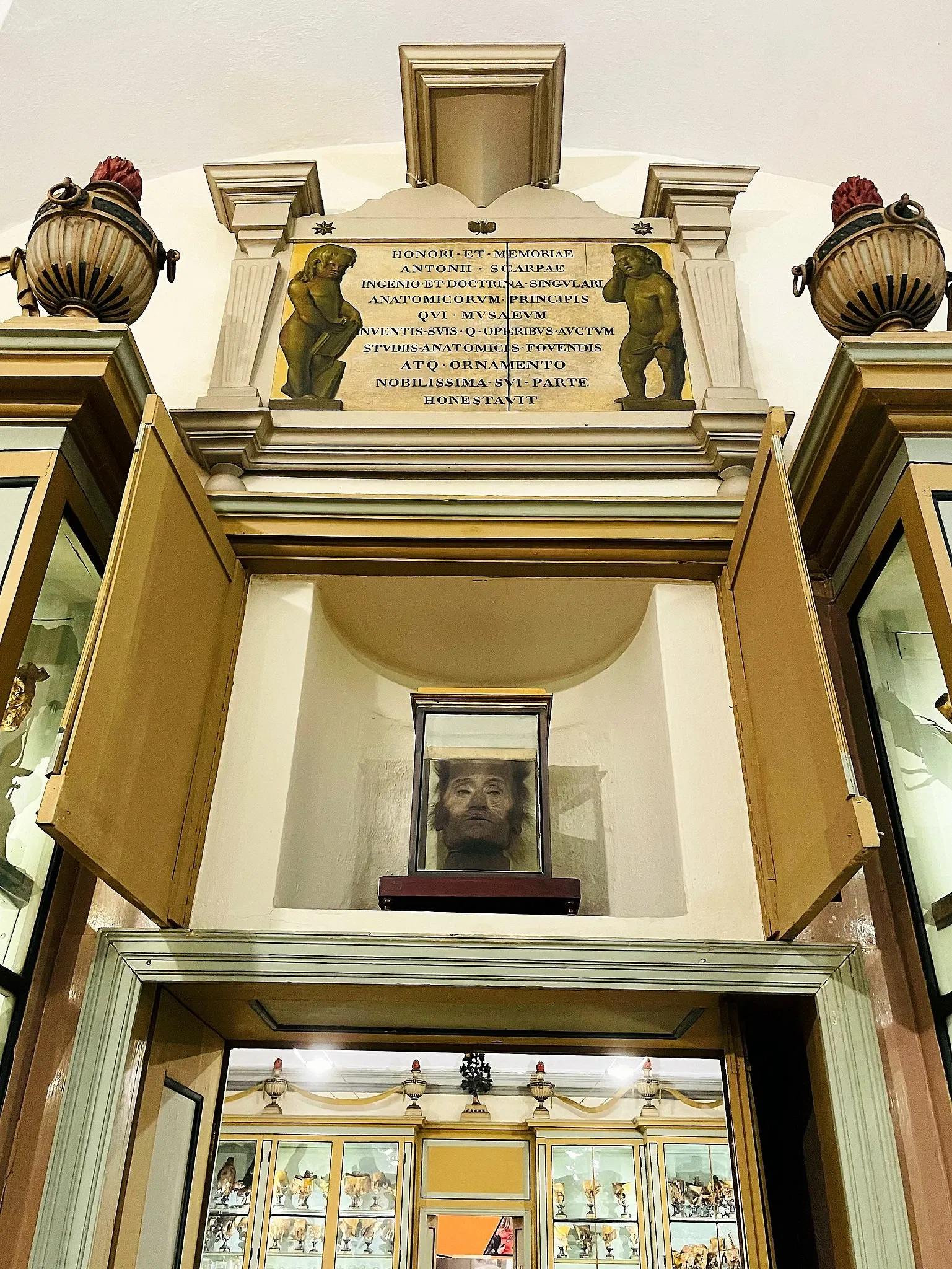 Musée pour l'histoire de l'université de Pavie