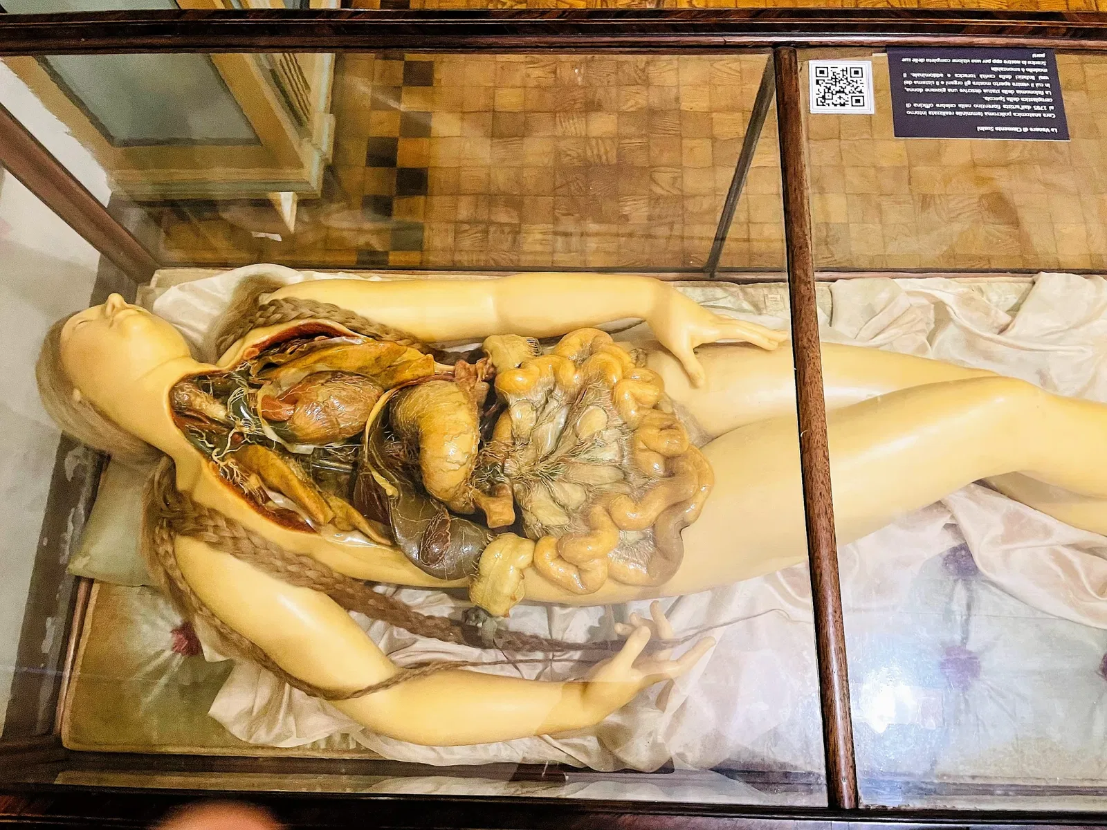 Museo per la Storia dell'Università di Pavia