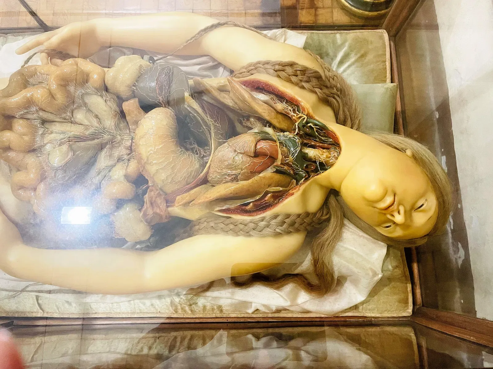 Museo de Historia de la Universidad de Pavia