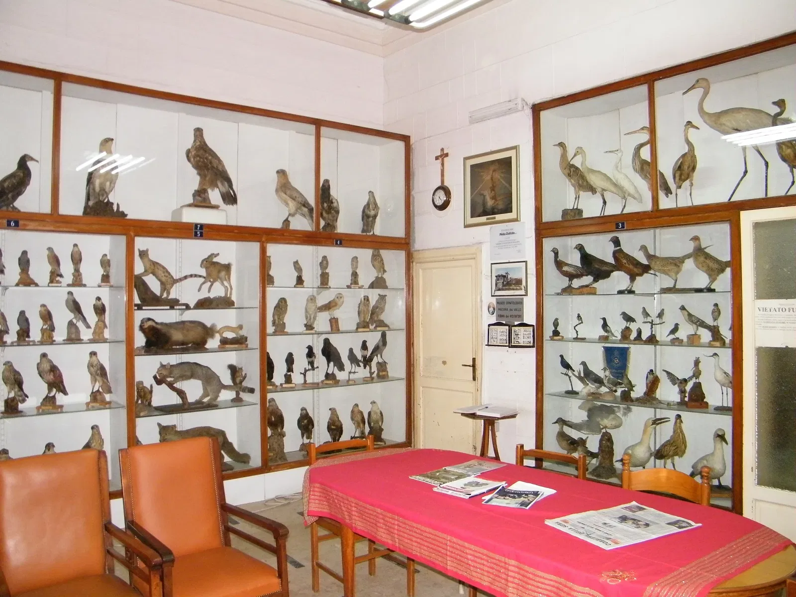 Museo Ornitologico Mazara del Vallo