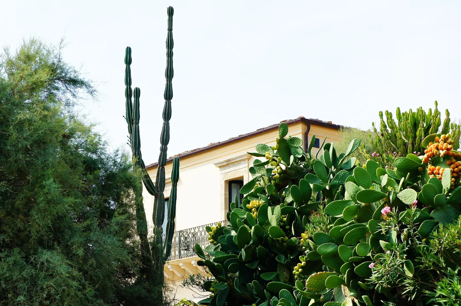 Museo Archeologico Regionale di Kamarina