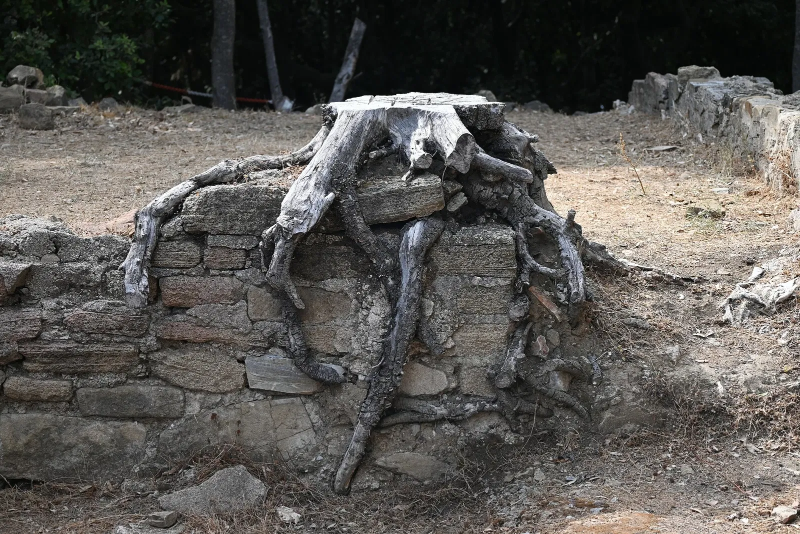 Baratti and Populonia Archaeological Park