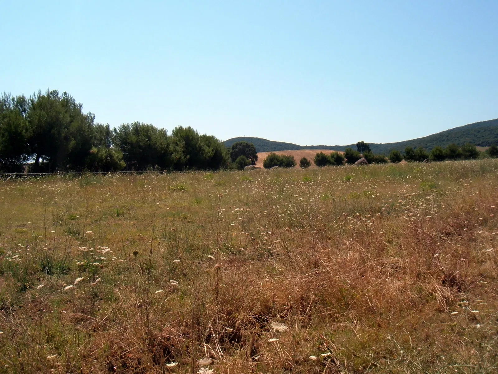 Baratti and Populonia Archaeological Park