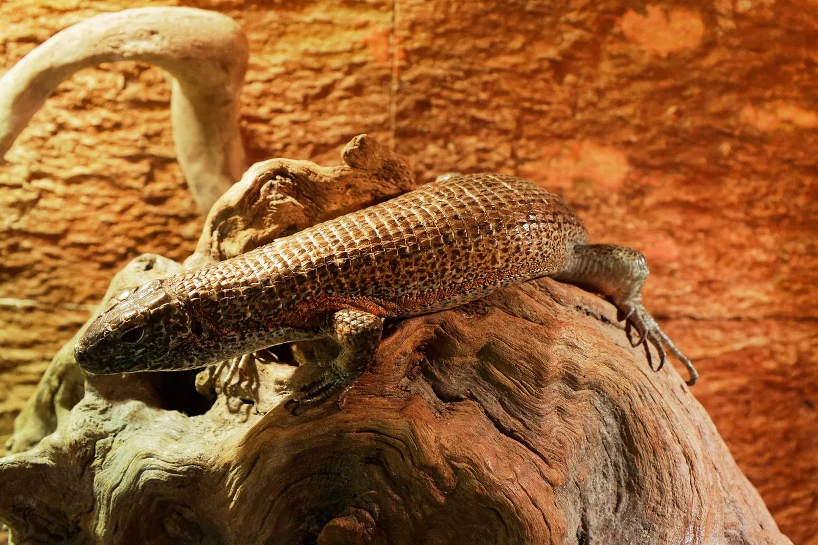 Aquarium du Périgord Noir